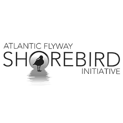 Atlantic Flyway Shorebird Initiative logo