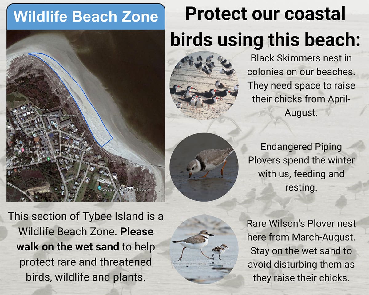 Wildlife Beach Zone sign