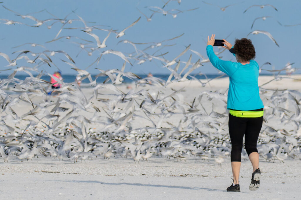 Disturbing birds while taking a photo